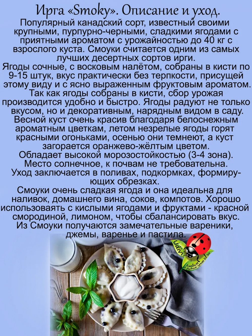 Ирга Смоуки канадская сладкая