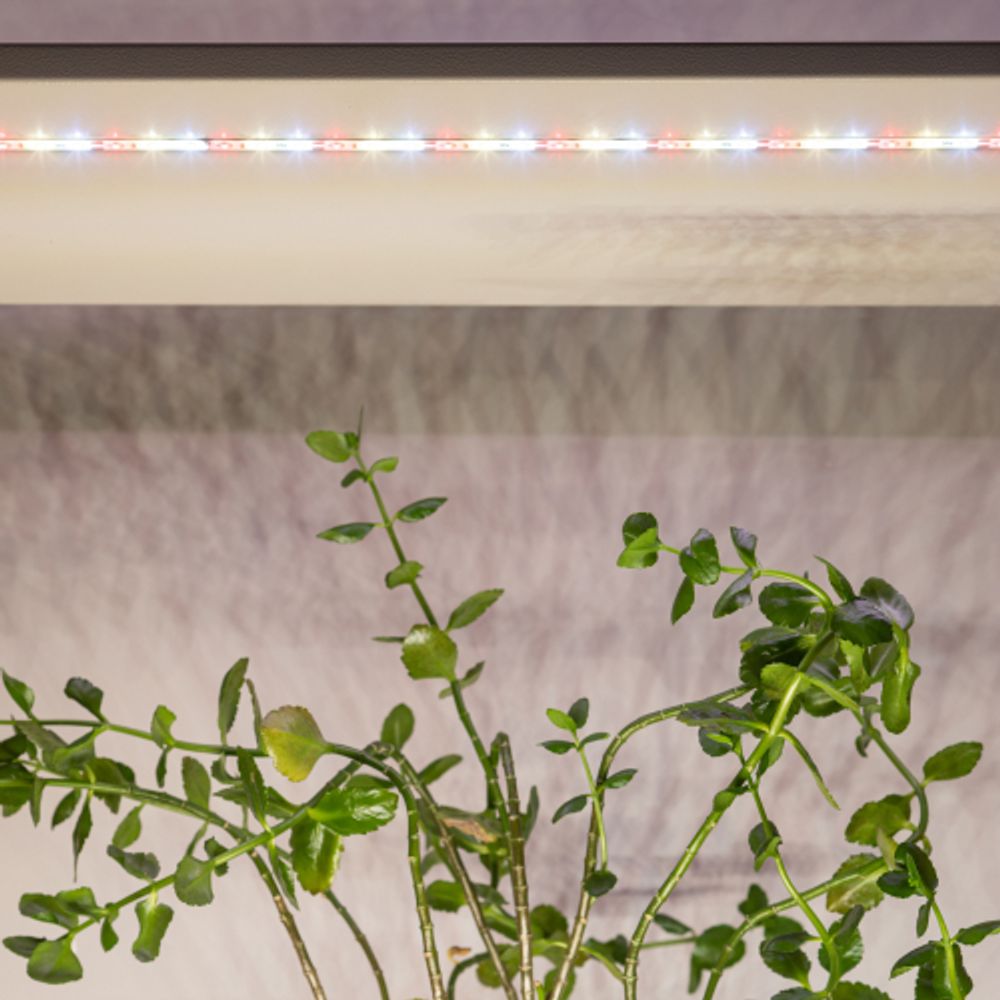 Светодиодная лента для растений ЭРА FITO-Strip Light-Rа90-300LED-5m-12V-IP65 полного спектра 5м IP65 с адаптером 12В | Светодиодные ленты для растений