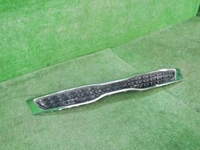 DSCN9777.JPG