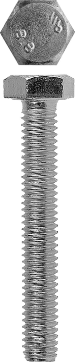 ЗУБР DIN 933, кл. пр. 5.8, M12 х 55 мм, цинк, 3 шт, болт (4-303076-12-055)