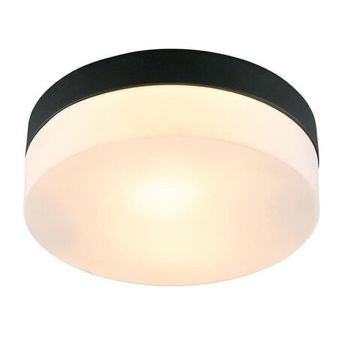 Потолочный светильник 2*E27 A6047PL-2BK черный Aqua-Tablet Arte Lamp