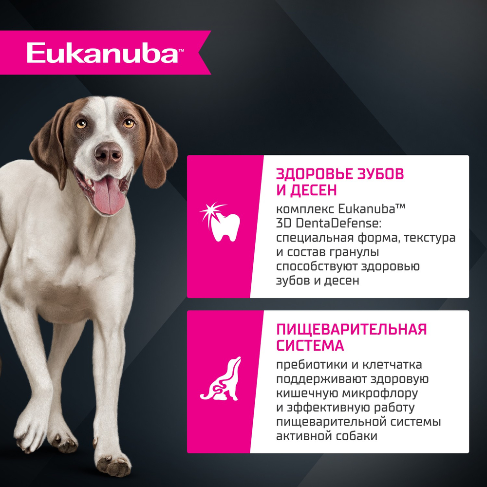 Сухой корм Eukanuba для взрослых собак крупных и очень крупных пород старше 1 года с ягненком 12 кг