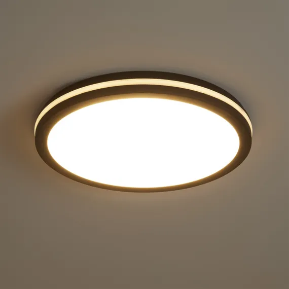 Потолочный светильник Rua FR6160CL-L40B Freya