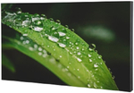 Панель LCD 65' Dahua DHI-LS650KCM-UF