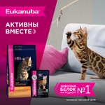 Eukanuba Adult Top Condition влажный рацион с кроликом в соусе для взрослых кошек 85г