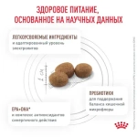 ROYAL CANIN Gastrointestinal Low Fat Small Dogs Диетический корм для собак мелких пород при нарушениях пищеварения, 1 кг