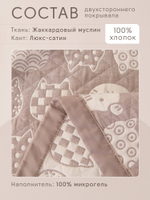 Покрывало двухстороннее Aurora Veil PAV003, размер 160*210