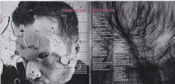 Evanescence — The Bitter Truth (CD)