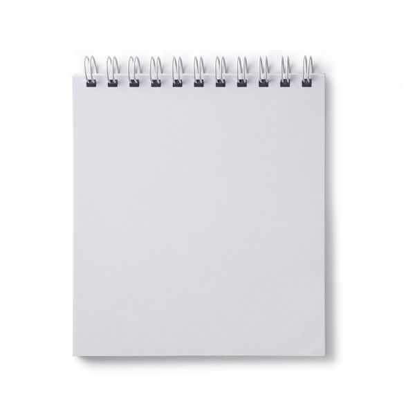 Артбук (скетчбук), блок белый, жесткая подложка, 100 г/м², 166х175 мм, на гребне 80 л. 2 шт, Цветочная муза 01612, Светоч А231