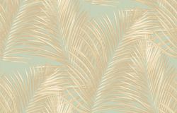 Amazonia / Амазония