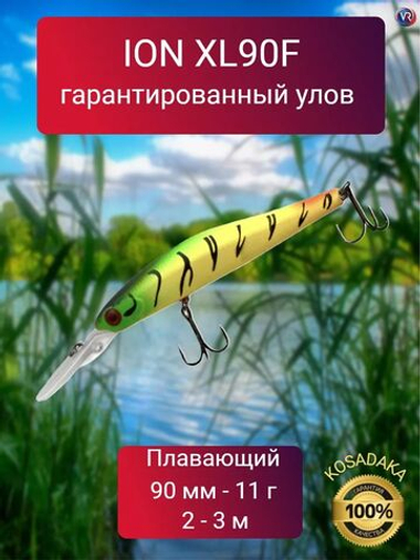 Воблер Ion XL 90F 11гр, 2-3м, 9 cм, плав., цв. ТТ
