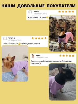 Комбинезон для собак кошек сфинкс кофта костюм для животных