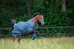Попона ESKADRON WATERPROOF LIGHT TURNOUT 0гр, 145 см