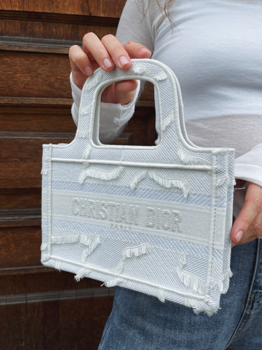 Dior Book Tote Mini