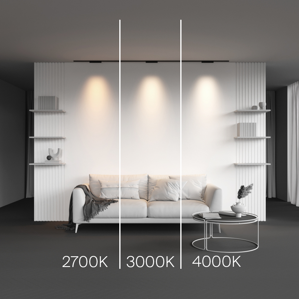 Магнитный трековый светильник Maytoni Points TR193-1-10W3K-M-B