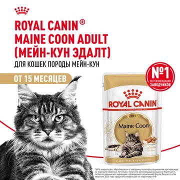 Royal Canin Maine Coon Adult влажный корм в соусе для взрослых кошек породы мейн-кун 85 гр