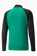 Кофта Puma teamLIGA Training