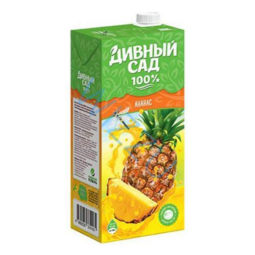 Нектар Дивный Сад Ананасовый, 1 л