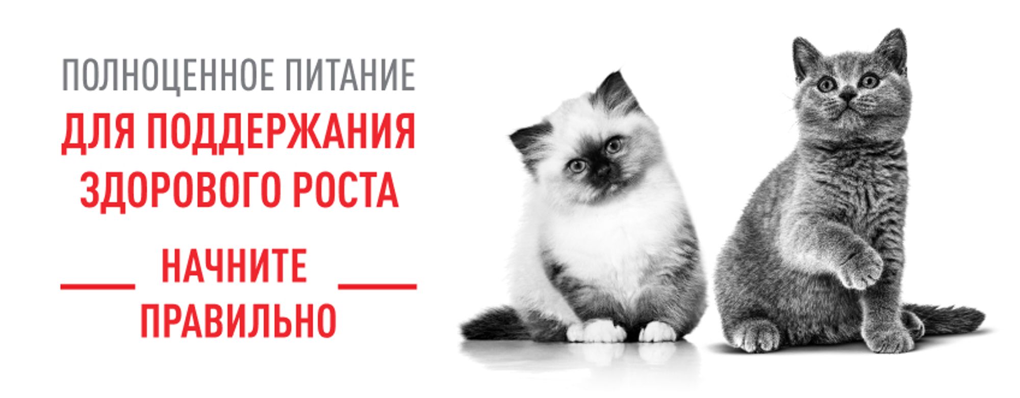 Баннеры Блок 4