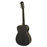 ARIA AFN-15 Black