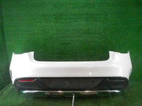 DSCN9488.JPG