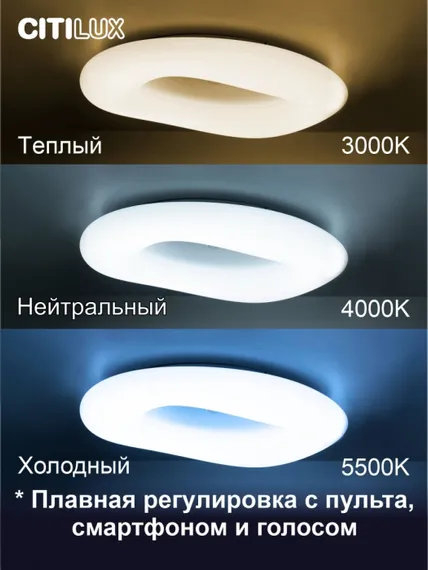 Потолочная люстра Стратус Смарт CL732A800G Citilux