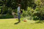 Аккумуляторная мотокоса Stihl  FSA 60 R SET ( (акб АК 10 2 шт.+ зу AL101)