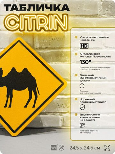 Табличка прикольная "Осторожно, верблюды" на дверь и стену, информационная и предупреждающая, декоративный знак, 24,5х24,5 см, пластиковая, Айдентика Технолоджи