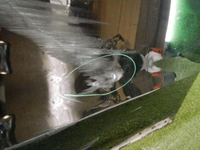DSCN1562.jpg