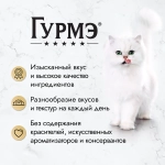 Индейка в соусе 75г влажный корм для кошек Гурмэ Перл
