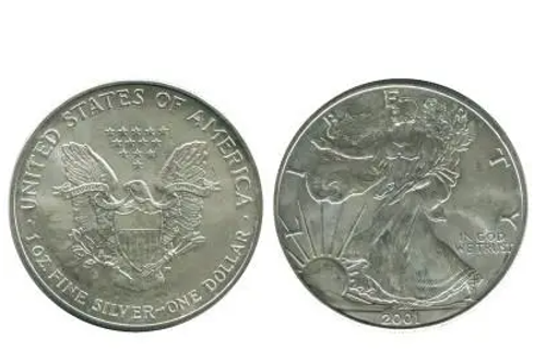 1 доллар США 2001 г.,"Шагающая свобода