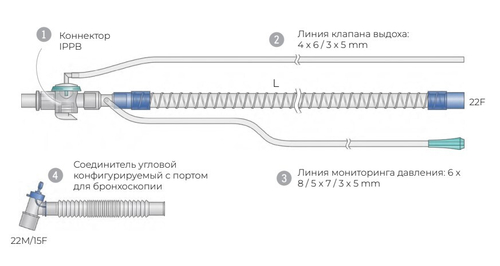 Контуры IPPB гладкоствольные взрослые, ø 22 мм (Длина контура, L: 180 см, Упаковка (инд./тр.): 1/50)