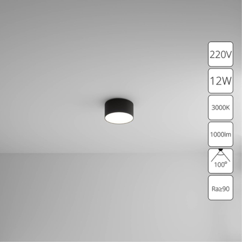 Потолочный светодиодный светильник Arte Lamp FADO A7312PL-1BK
