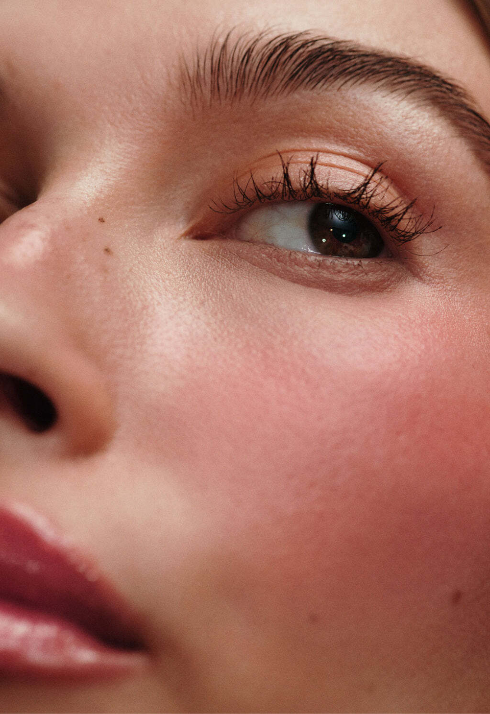 Rhode Pocket Blush - Freckle
