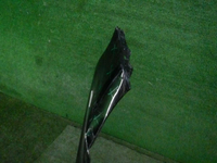 DSCN0579.JPG