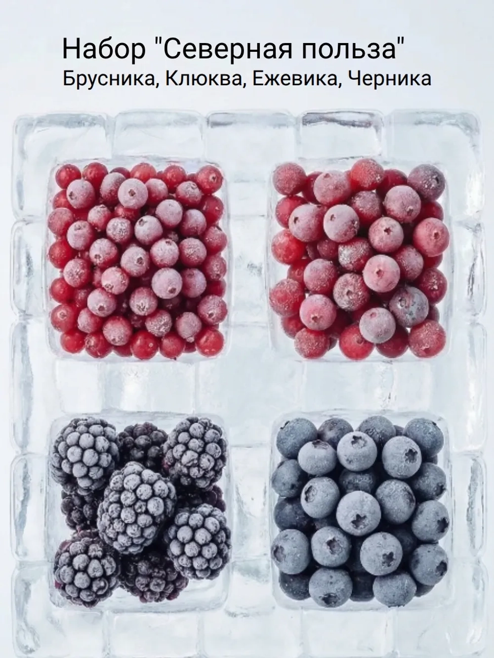 Набор ягорд брусника, клюква, ежевика, черника