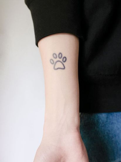 cat's paw