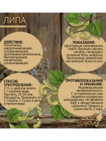 Цвет липы с листом для чая