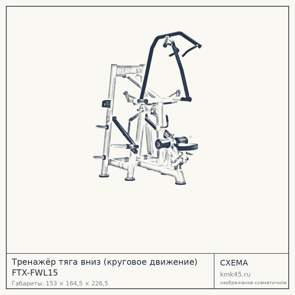 Тренажёр тяга вниз (круговое движение) FTX-FWL15 — от 216 000 ₽