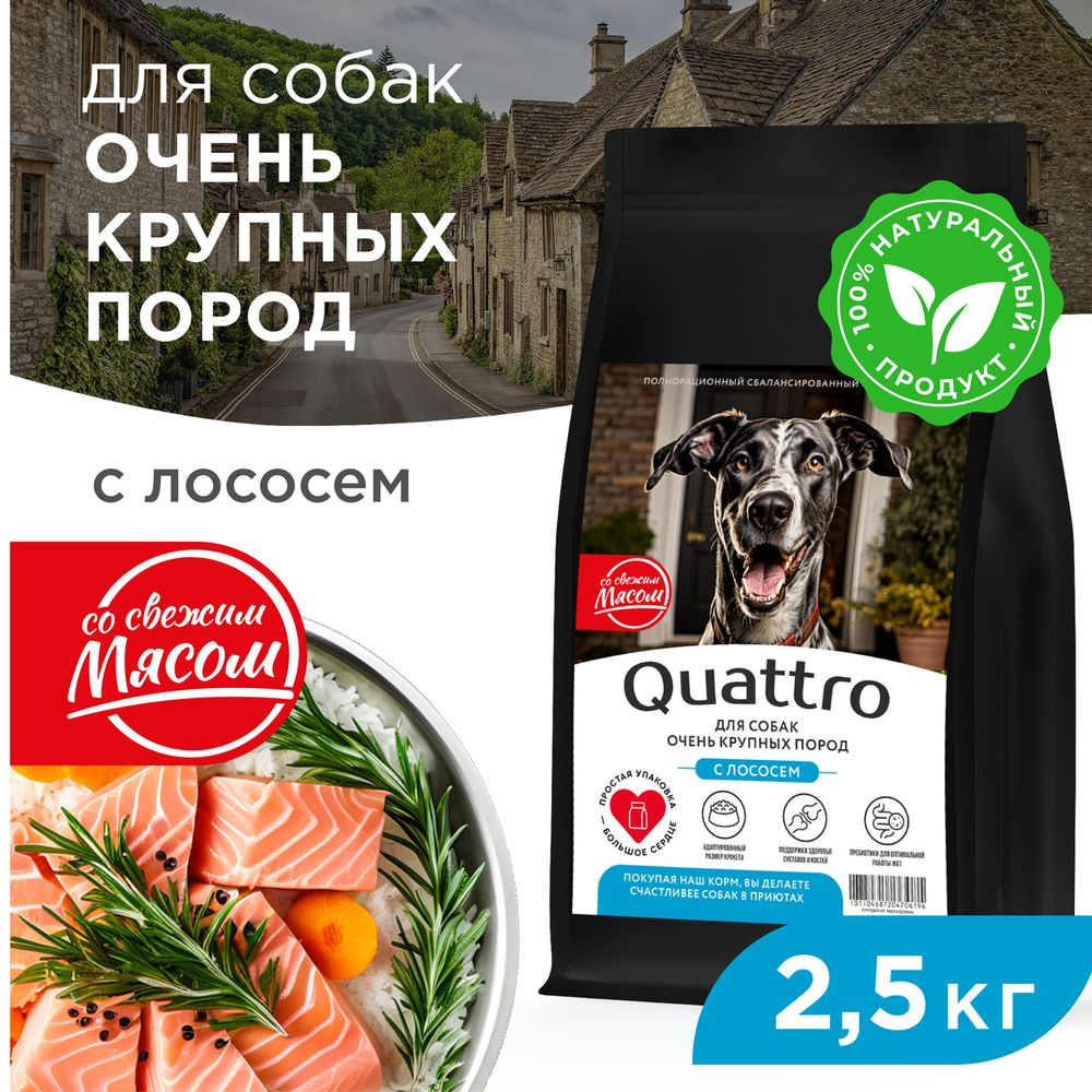 Корм сухой для взрослых собак очень крупных пород, премиум полнорационный сбалансированный, с лососем, 2,5 кг, QUATTRO