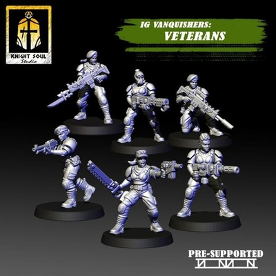 Astra Militarum / Cadian Veterans 1