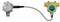 Sensepoint XCD RTD