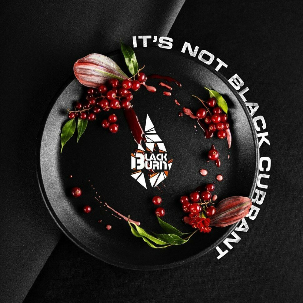 Black Burn - Red Currant / It’s Not Black Currant (200г)