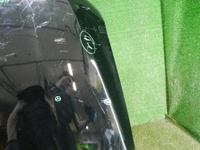 DSCN7343.JPG
