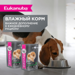Сухой корм Eukanuba Adult Toy Breed 1+ years для взрослых собак миниатюрных пород с курицей 500 г