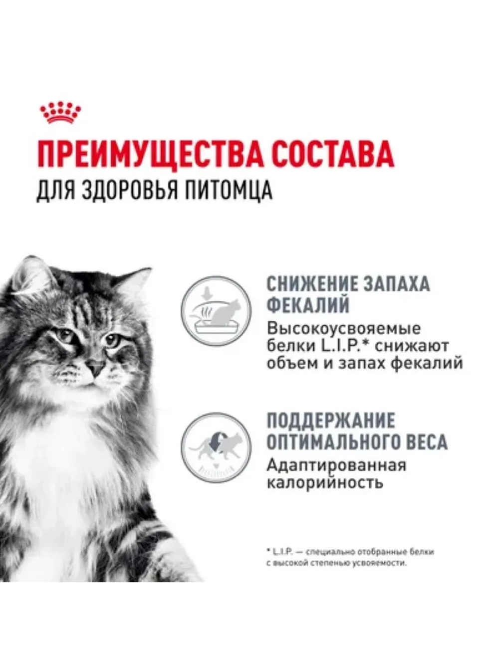 Digestive Care Корм для кошек в соусе 85г*28шт