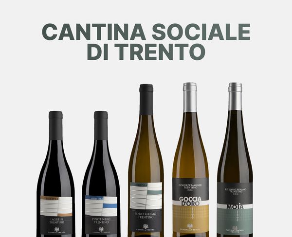 Cantina Sociale di Trento. Лучше гор могут быть только горы. И еще вина с этих гор Cantina Sociale di Trento. Лучше гор могут быть только горы. И еще вина с этих гор