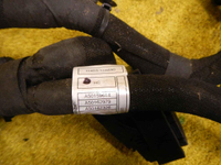 DSCN2256.JPG
