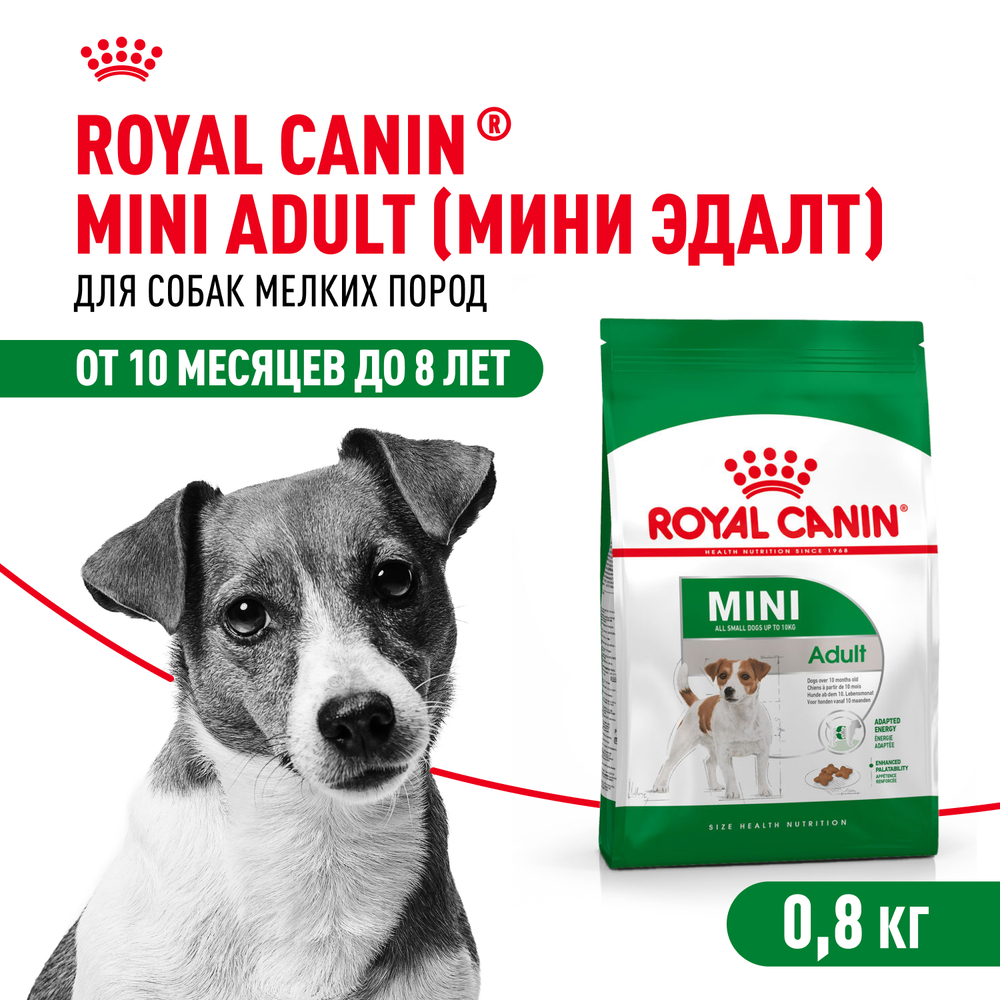Royal Canin Mini Adult Корм сухой для взрослых собак мелких размеров от 10 месяцев - 0,8 кг