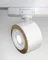 Трековый светильник Treo TR023-1-12W3K Maytoni